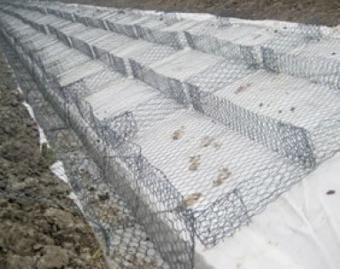 雙隔板雷諾護墊